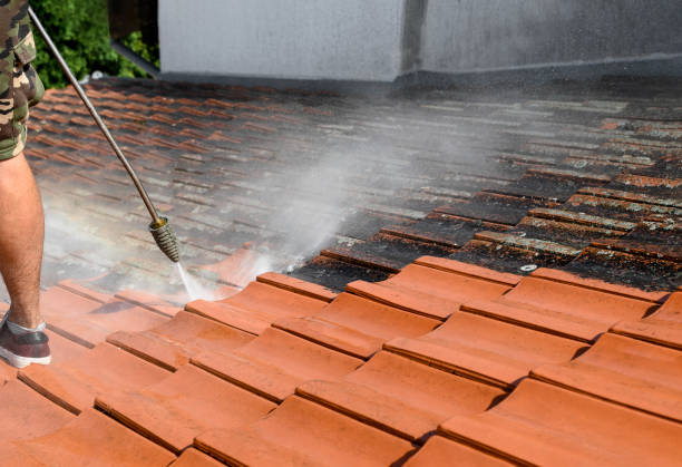 Best Best Pressure Washing Companies  in New Iberia, LA